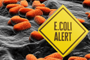 Image of E.coli bacteria to alert businesses to what they must know about e.coli guidance fact sheet